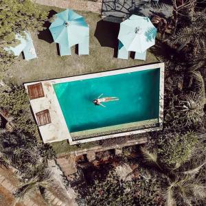 Bazén v ubytování Blue Monkey Retreat Areguling Lombok nebo v jeho okolí