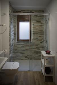 baño con ducha y aseo y ventana en Apartamentos turisticos HAZ AMIGO en Muxia