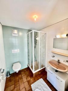 a bathroom with a shower and a sink and a toilet at Wiesen Appartment in Schwarzenberg