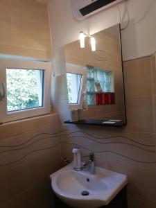 y baño con lavabo y espejo. en Charming house "Luisi" in green garden Maribor 75m2, en Maribor