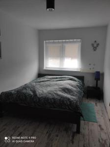 A bed or beds in a room at Apartament u Bena
