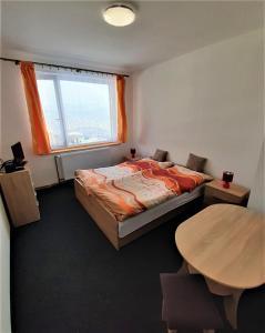 een slaapkamer met een bed, een tafel en een raam bij Ubytování U Janičky in Klíny
