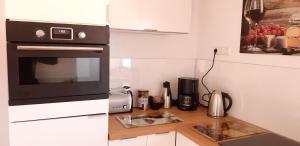 a kitchen with a counter with a microwave and a stove at Ferienwohnung Renke in Alberode +11 photos
