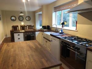 a kitchen with a sink and a stove top oven at Waller House in Norwich