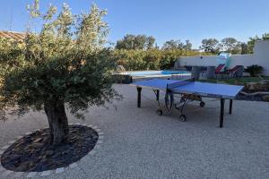 a picnic table next to a tree next to a pool at Dépendance en Provence entre Orange et Avignon in Piolenc