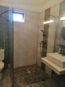 a bathroom with a shower and a sink and a toilet at Résidence Le Dattier, 3 bedrooms apartment, Flic en Flac in Flic-en-Flac