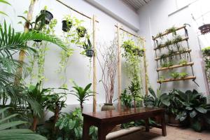 a room filled with lots of plants and a wooden table at The International Hotel Chiang Mai - YMCA in Chiang Mai