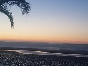 a palm tree on the beach at sunset at Hôtel L'Albatros in Saint-Trojan-les-Bains