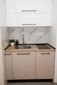 Kuchyň nebo kuchyňský kout v ubytování Apartment Maya Bellissima