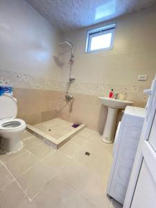 La salle de bains est pourvue d'une douche, de toilettes et d'un lavabo. dans l'établissement Jibghashvilebi's house, à Lagodekhi