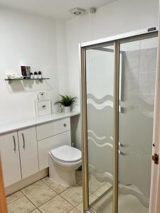 La salle de bains est pourvue de toilettes et d'une douche en verre. dans l'établissement The Paddock at Peacock Farm near Belvoir Castle, à Redmile