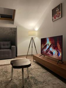 a living room with a large flat screen tv at Sofia Loft in Bistriţa