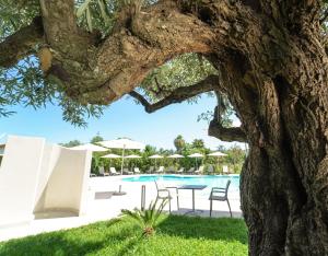 un arbre avec une table et des chaises à côté d'une piscine dans l'établissement Europa rooms and restaurant, à Capo Vaticano