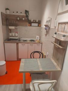 Kuchyňa alebo kuchynka v ubytovaní Studio Apartment CONTE Split