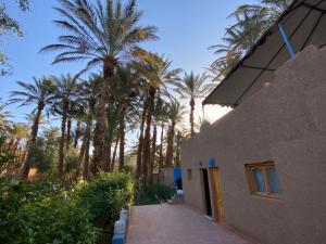 a building with palm trees in the background at Ecolodge du Draa in Ouled Otmane