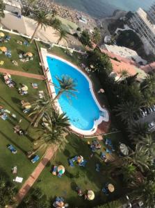 - une vue sur la piscine bordée de palmiers dans l'établissement Apartamento Torre de la Roca Torremolinos, à Torremolinos
