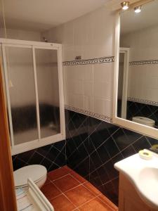 bagno con servizi igienici, lavandino e specchio di CASA RURAL EL CAIDERÓN a Ambel