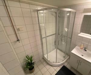 a white bathroom with a shower and a sink at Finnegården Røros in Røros
