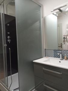 a bathroom with a shower and a sink at Gite Haute Epine "Ma Vie Là" in Haute-Épine