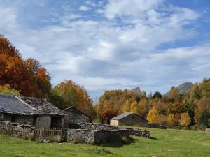 an old stone house in a field with trees at Prao del Molin in Cangas del Narcea