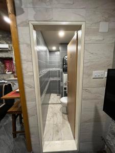 a bathroom with a toilet and a walk in shower at Apartman Sofranac in Rijeka Crnojevića