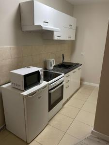 a kitchen with a microwave and a stove top oven at Apartament Puscha in Kielce