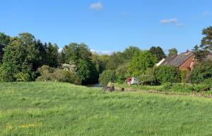 a horse in a field next to a river at Ferienwohnungen direkt am Wasser in Glückstadt in Glückstadt