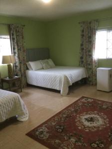 1 Schlafzimmer mit 2 Betten und einem Teppich in der Unterkunft Mountain View retreat st.Elizabeth in Far Enough