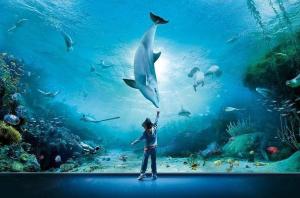 a woman standing in front of an aquarium looking at fish at La Maison di Francesco in Genova