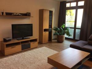 TV/trung tâm giải trí tại Ferienwohnung Passau