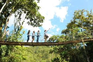 a group of people on a suspension bridge in the jungle at Hacienda Charrascal Coffe Farm in Manizales