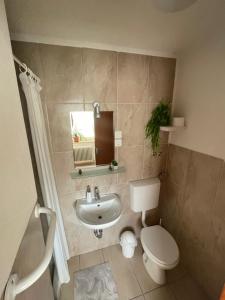 Koupelna v ubytování Apartmaji Mojca + 37 fotografií