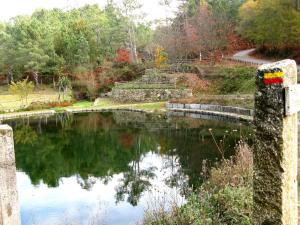 Příroda nedaleko prázdninového domu