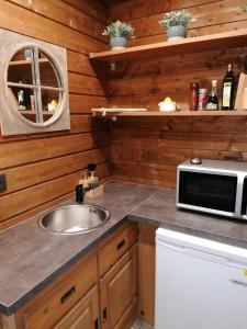 a kitchen with a sink and a microwave at Maison d'hôte Les Notes Endormie Suite Le Refuge in Walcourt