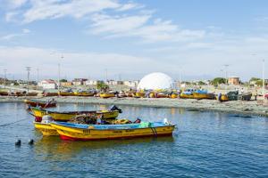 dwie łodzie w wodzie z kaczkami w obiekcie Punta de choros Cabañas bahia carrizalillo w mieście Carrizalillo