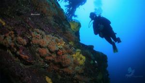 Hosté ubytování Punta de choros Cabañas bahia carrizalillo + 24 fotografií