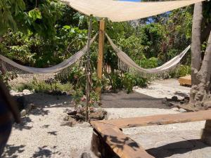 Fotografie z fotogalerie ubytování Casa campestre Valle del Elqui v destinaci Diaguita