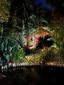 a garden at night with a dragon in the background at Albany Bali Style Accommodation in Albany