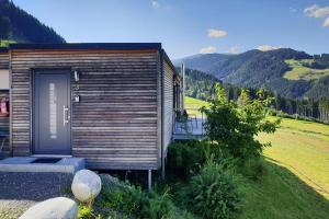 a wooden cabin with a door in a field at 4 star holiday home in Gaal im Murtal in Pirkach