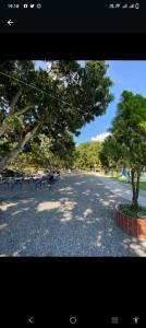 a park with benches and trees on a road at Villa Palmeras Hotel Campestre in Espinal