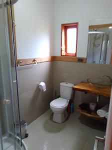 y baño con aseo, lavabo y ducha. en Cabañas Pukatue en Chonchi