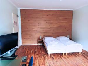 TV a/nebo společenská místnost v ubytování Puschkin Rooms