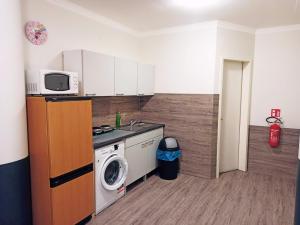 Kuchyň nebo kuchyňský kout v ubytování Puschkin Rooms