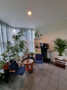 Fotografie z fotogalerie ubytování Puschkin Rooms v Berlíně