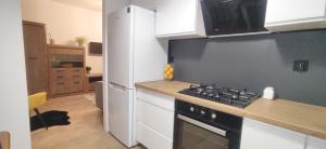 Kuchyňa alebo kuchynka v ubytovaní Apartament przy Parku