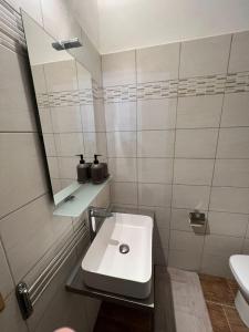 Koupelna v ubytování Bergamoincity
