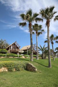 a group of palm trees in a park with a house at Laguava Resort in Ar Rumaylah