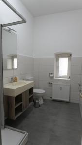a bathroom with a sink and a toilet and a mirror at Otto der Reiche in Ballenstedt