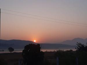 a sunset in a field with a group of cows at Meghvan Farm Camp Site in Shendi