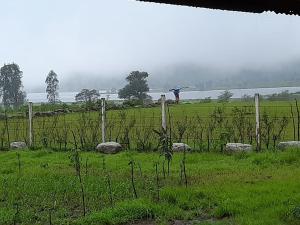 a person in a field with a plane in the distance at Meghvan Farm Camp Site in Shendi